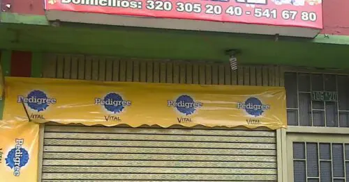 MUNDO ANIMAL BOGOTÁ MUNDO ANIMAL BOGOTÁ